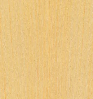 koto-sifar.jpg