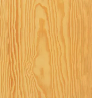 pino-pitch-pine.jpg